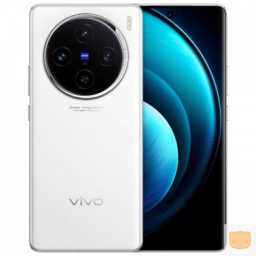 vivo x100