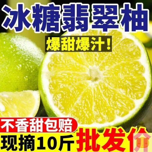 特大【冰糖翡翠柚】翡翠柚青皮柚子葡萄柚西柚蜜柚新鲜水果非礼盒