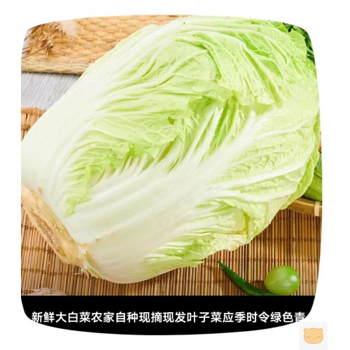 东北黄心白菜新鲜现摘火锅食材