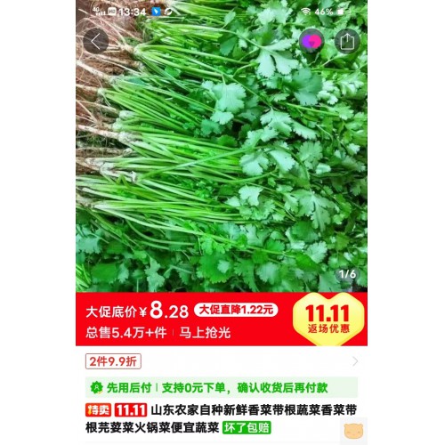 新鲜香菜现彩现发农家绿色食品