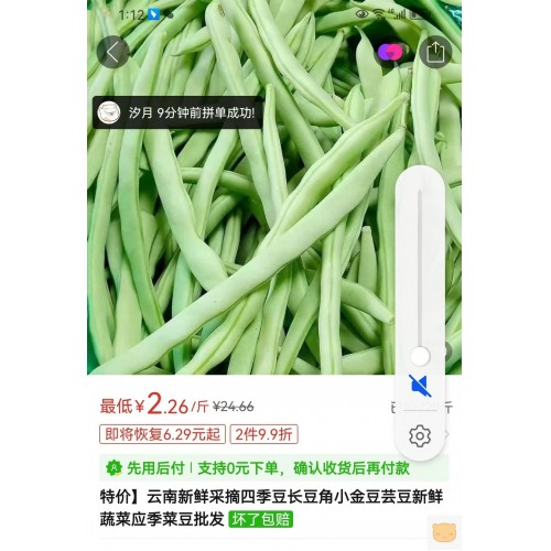 云南新鲜采摘四季豆长豆角