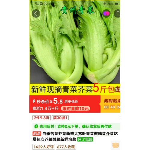 新鲜现摘青菜芥菜