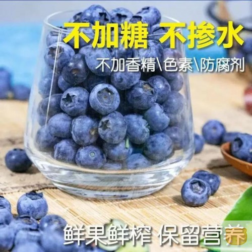 蓝莓;蓝莓原浆100%新鲜天然无添加剂酸甜纯果蔬汁果汁花青素护眼护肤