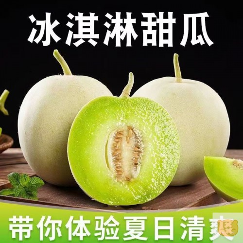 海南直发】玉菇甜瓜薄皮当季玉茹冰淇淋哈密瓜香瓜新鲜水果整箱（包邮）