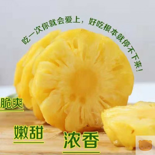 批发小菠萝云南香水小菠萝新鲜水果5斤/9斤/3斤单果300-1000g