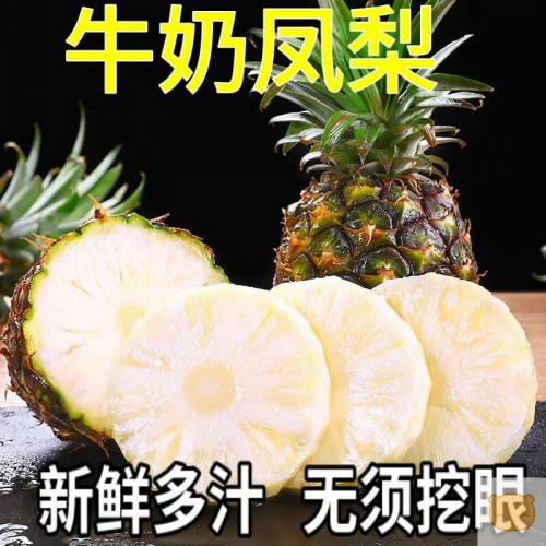 包邮版纳牛奶凤梨新鲜水果手撕即食无眼当季整箱孕妇水果正宗菠萝（包邮）