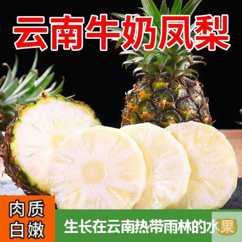 白肉凤梨新鲜水果手撕即食无眼当季整箱孕妇水果正宗菠萝（包邮）